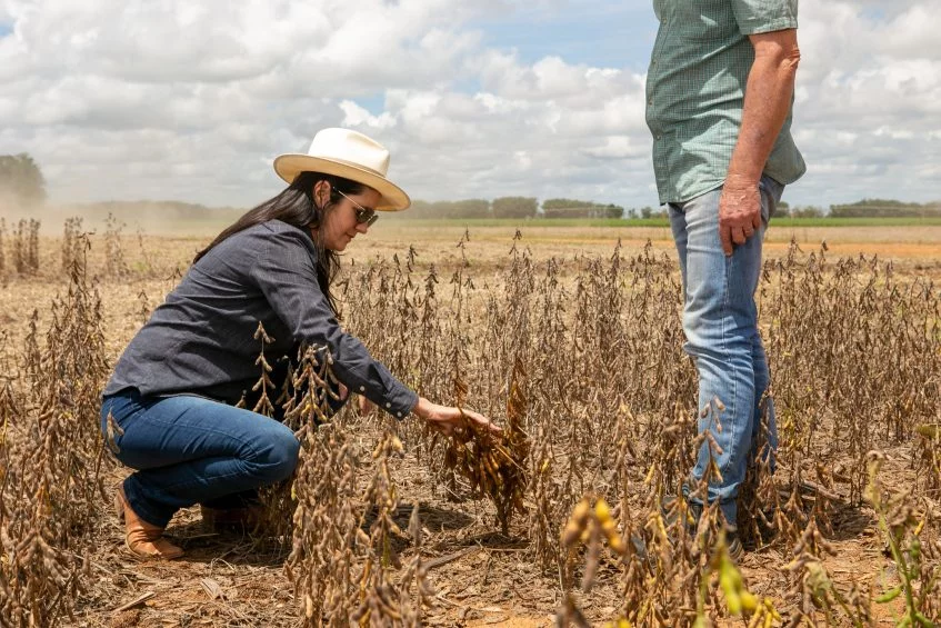 Laudo Técnico CAPAG para alongamento de dívida rural