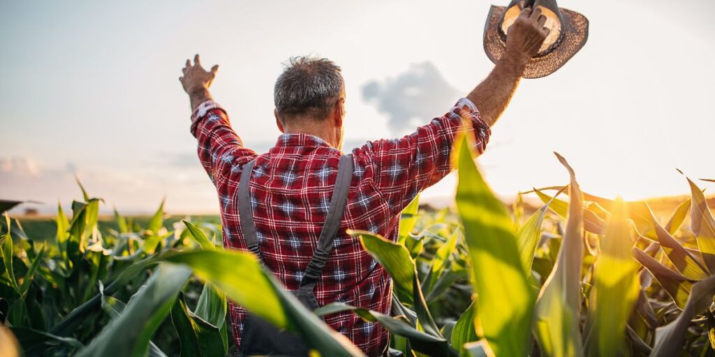 alongar dívida rural
