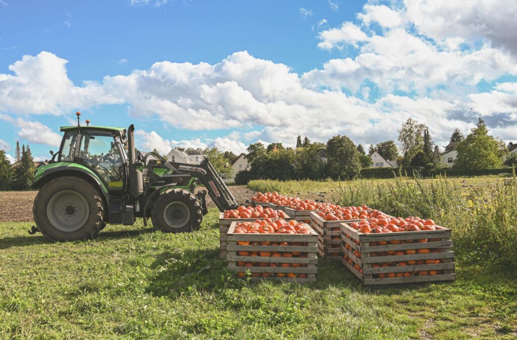 Laudo de Perda de Safra